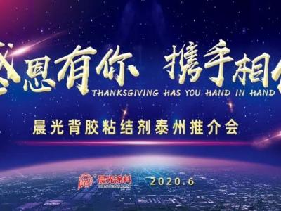 &ldquo;感恩有你 携手相伴&rdquo;，beats365(中国区)-唯一官方网站背胶粘结剂泰州推介会圆满举办